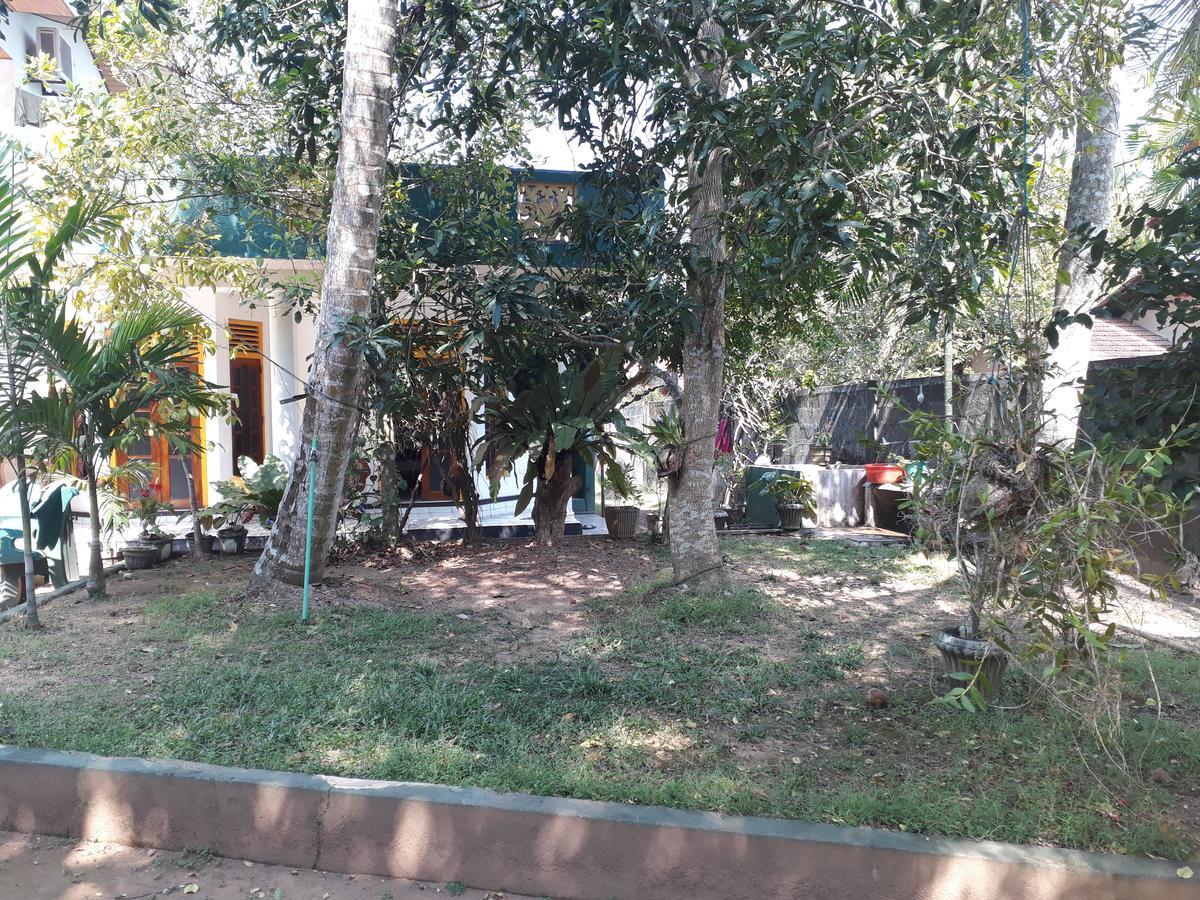 Guesthouse Sunshine Aluthgama Exteriér fotografie